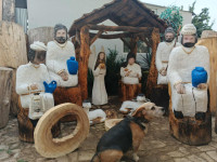 /album/fotogalerie-uvodni-stranka/528788607-2356851534730540-6111456189295610154-n-jpg/